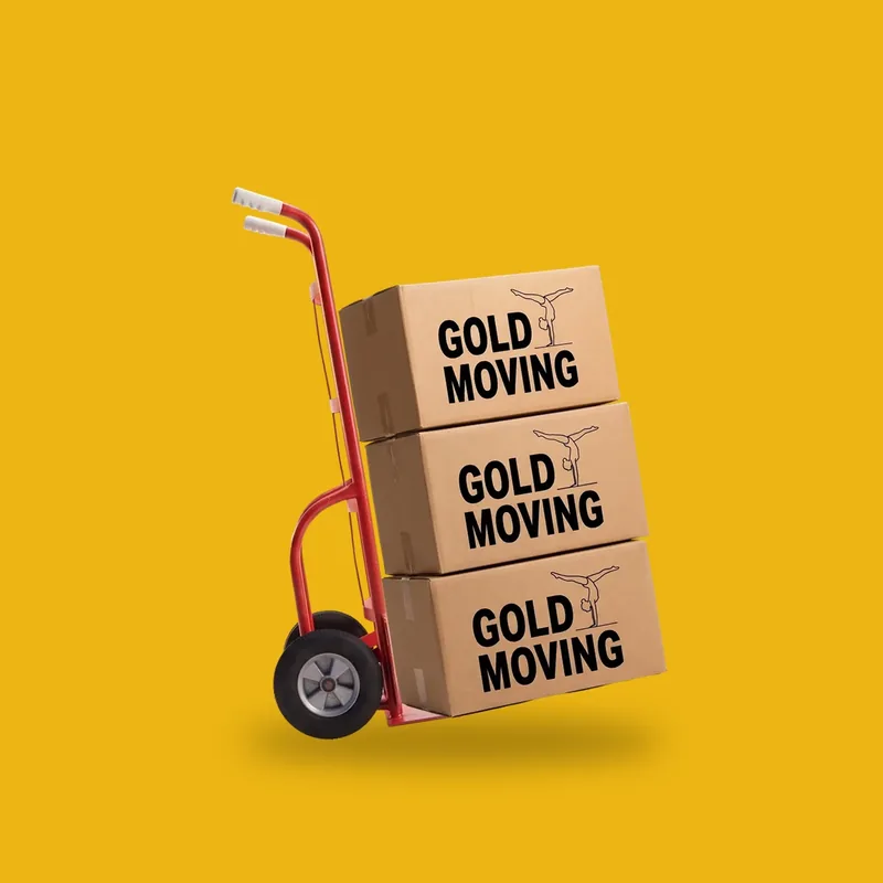 GOLD MOVING